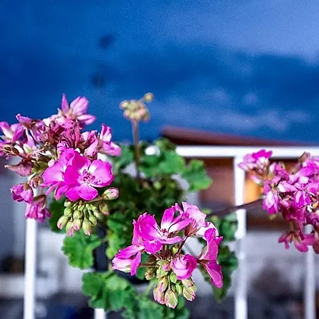 Bed & Breakfast La Scalinata 3*